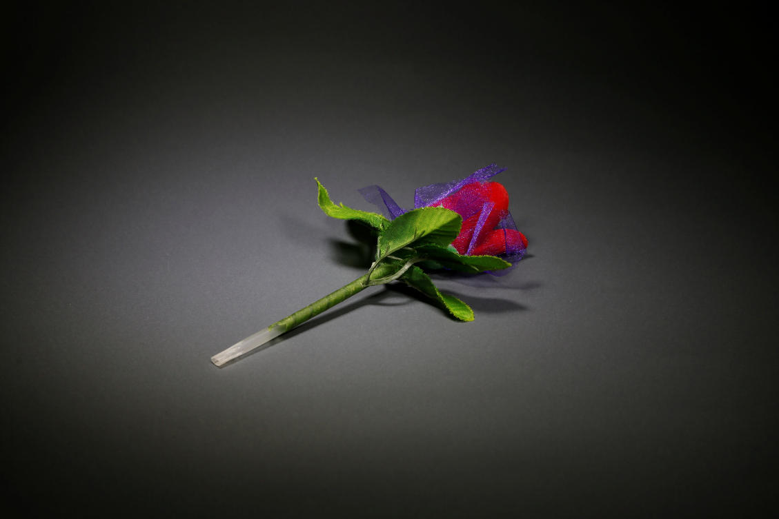 A flower is seen at the War Childhood Museum before an exhibition in Sarajevo, Bosnia and Herzegovina, January 25, 2019. "This flower reminds me of my garden. From time to time, I used to take the flower out of my drawer, I closed my eyes and smelled it. (Reuters)