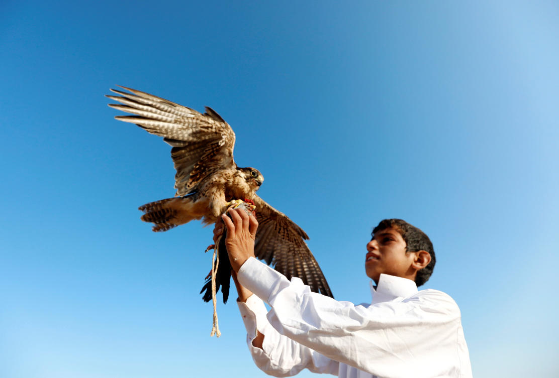 A Bedouin boy holds a falcon after using a pigeon to hunt in the desert during World Falconry Day at Borg al-Arab desert in Alexandria, Egypt, November 17, 2018. Picture taken November 17, 2018. (Reuters)