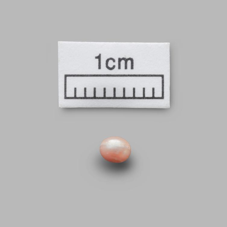 A handout picture released by the Department of Culture and Tourism – Abu Dhabi on October 20, 2019, shows a pearl recovered from an archeological site in on Marawah Island. (AFP)