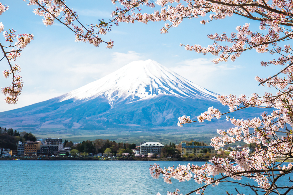 Luxury and wonder in Japan, such as cherry blossoms and Mount Fuji near Tokyo are part of Japan’s appeal. (Shutterstock)