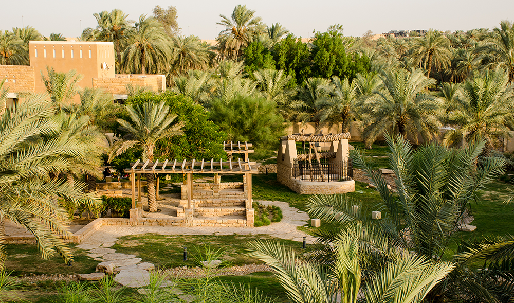 Saudi Tree Planting Initiative, Landscaping Companies In Riyadh