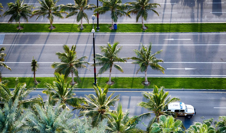 There are 13 programs aiming to change and develop the lifestyles of citizens and residents. (SPA)