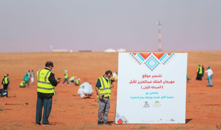 Over the next six months, trees will be planted in approximately 165 sites to tackle deforestation. (SPA)