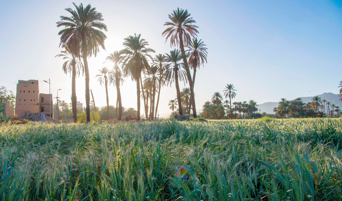 The MoU also focuses on the effective planning of coastal zones and working on early warning systems to reduce the losses caused in the wake of natural disasters. (SPA) The MoU also focuses on the effective planning of coastal zones and working on early warning systems to reduce the losses caused in the wake of natural disasters. (SPA)