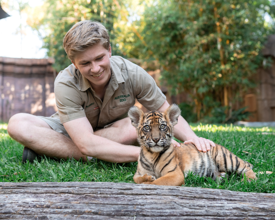 Robert Irwin pictured with a tiger cub at the Australia Zoo. Supplied