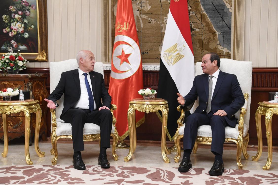 Egypt, Tunisia discuss Libya, Ethiopia's disputed dam - Arab News