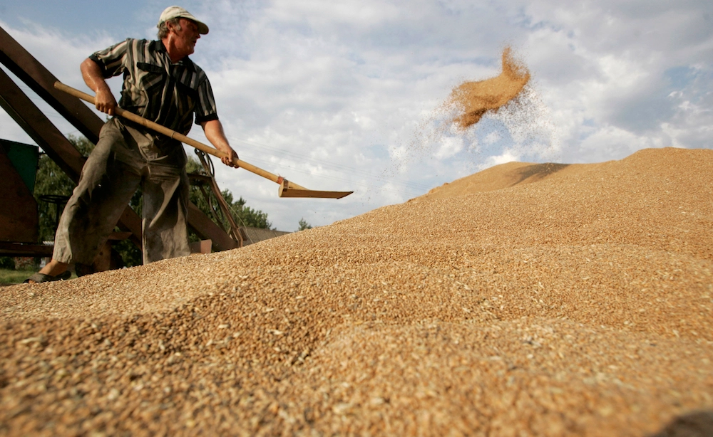 According to the World Food Program, the Ukraine crisis has resulted in increased prices for grain and other food items in the Palestinian Territories. (AFP/File Photo)