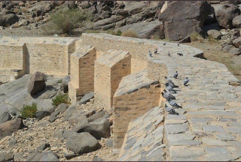 Wild nature’s call puts historic Saudi village on tourist trail