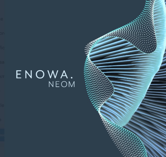 NEOM launches ENOWA to ensure sustainable energy and water systems - Arab News