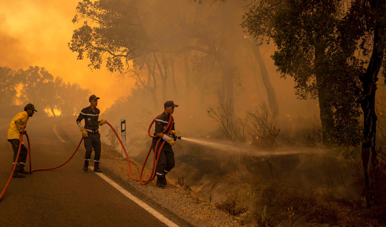 إرسال المزيد من رجال الإطفاء والجنود لمواجهة حرائق الغابات في المغرب