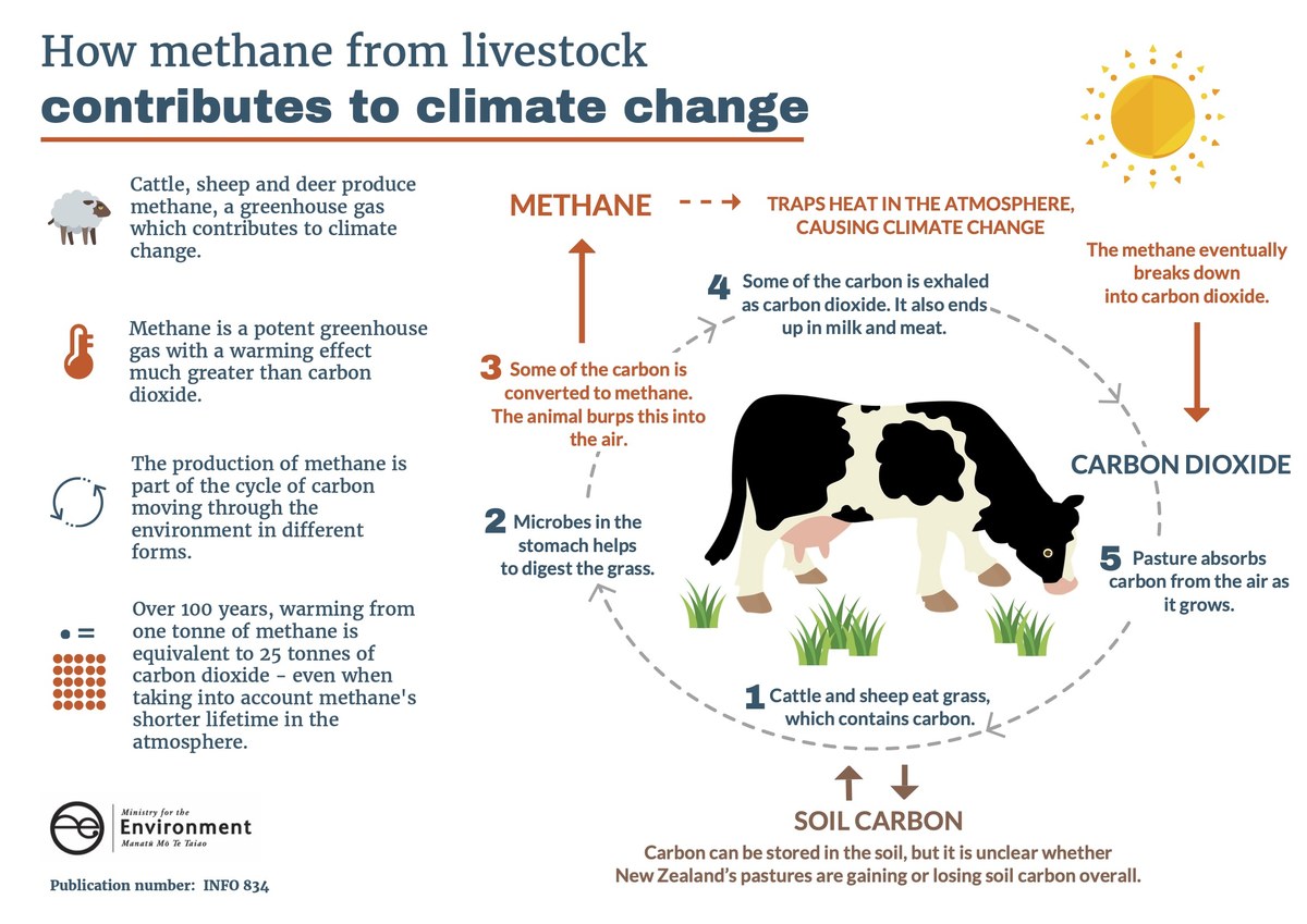infographic methane gas