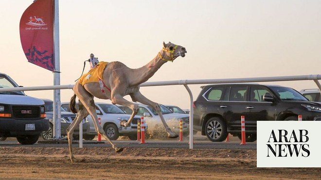 سباق الهجن: رياضة عربية يحبها أهل المنطقة