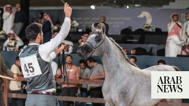 الخيول العربية الأصيلة الجاذبية في مسابقة جمال الرياض
