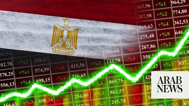 تخفيض الديون وليس استقرار العملة هدف مصر: مستشار البنك المركزي