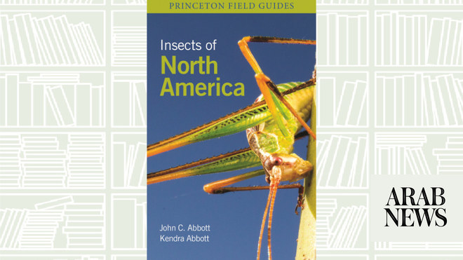 ما ندرسه اليوم: حشرات أمريكا الشمالية