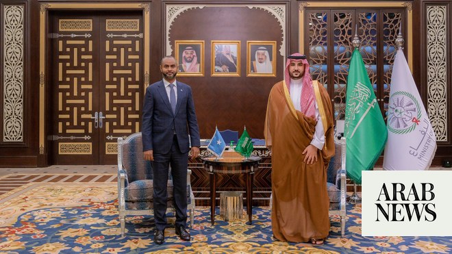 Saudi, Somali defense ministers discuss ties