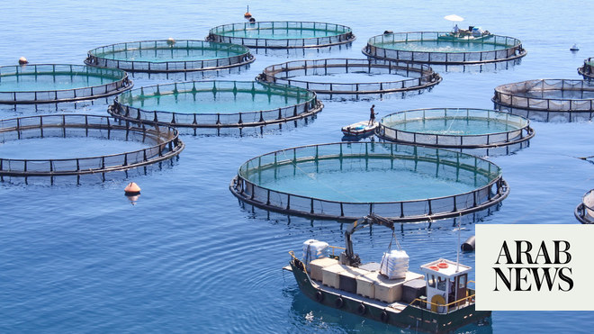 المنظمة العربية للتنمية الزراعية تسعى للحصول على دعم مصري لمزارع الأسماك اللبنانية
