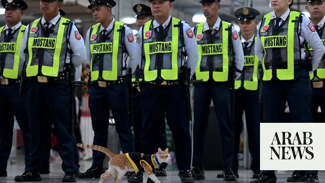 باو باترول: حراس الأمن الفلبينيون يتبنون القطط الضالة