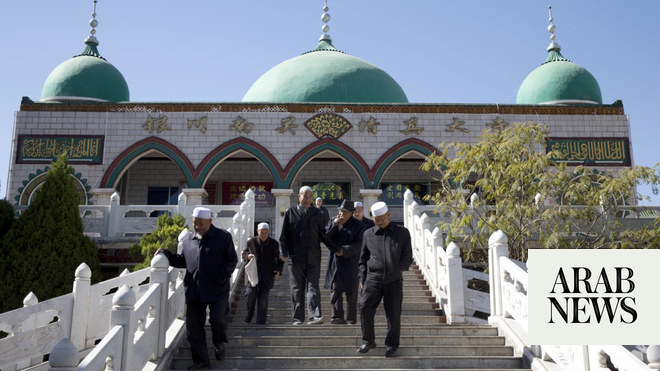 Maymun bilan jinsiy aloqada bolgan ayol Televizorda pornografiya