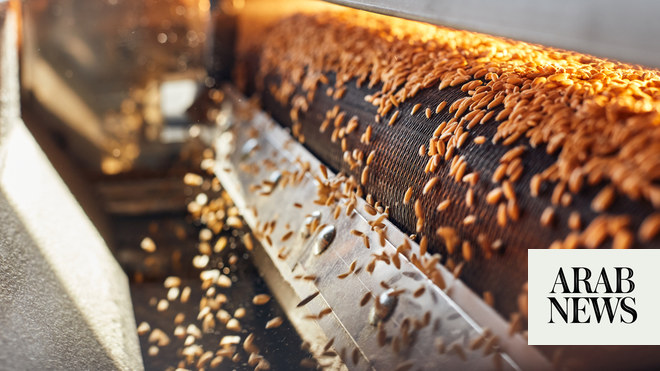 أطلقت المملكة العربية السعودية خطة جديدة لزيادة إنتاج القمح والشعير
