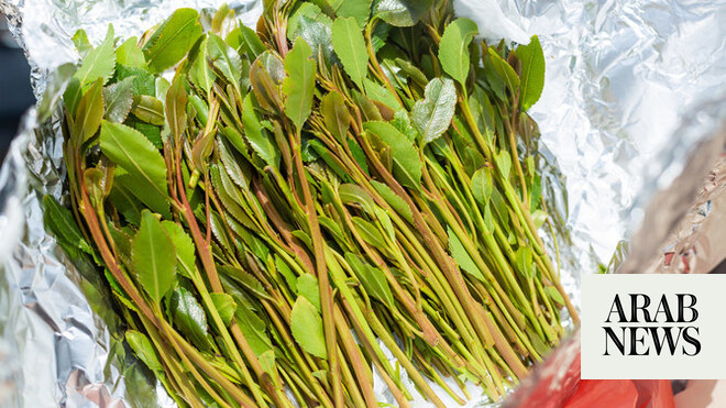 Authorities seize 692 kg of qat, arrest offenders in Jazan, Asir