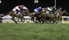 Week two and seven more races at the Dubai World Cup Carnival sees horses from 10 countries clash at Meydan Racecourse. (AFP/File Photo)