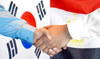 Egypt, South Korea sign a $1bn financing agreement 