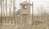 A security person watches from a guard tower around a detention facility in China's Xinjiang Uyghur Autonomous Region. (AP)