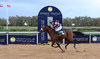 Milan to host fourth round of UAE President’s Cup horse race