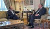 Austrian, Egyptian FMs hold talks in Cairo