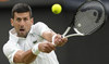 Djokovic in 13th Wimbledon quarter-final as Federer eyes ‘one more time’