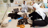 Petoya Lounge is Saudi Arabia’s ‘first five-star hotel for cats’