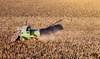 Commodities Update — Gold slips; Corn, wheat fall; Argentina forecasts corn harvest at 55m tons