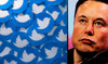 Elon Musk targets ad tech firms in Twitter suit over takeover deal