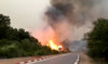 Algeria wildfires ‘all under control’: civil defense