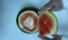 Saudi authorities seize 765,000 amphetamine tablets hidden in watermelons 