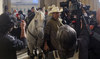 Hold your horses! Colombian senator rides through Congress
