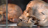 Belgian auction house delists Arab, African skulls amid backlash