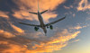 Middle East air traffic up 114% in October: IATA