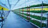 PIF signs deal to build indoor vertical farms in Saudi Arabia