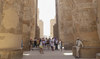 Rising demand promotes excellent winter tourist season in Luxor