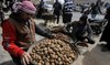Daesh group kills 15 truffle hunters in Syria: monitor
