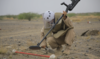 Saudi-led project clears milestone 400,000 landmines in Yemen