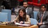 UAE assumes Security Council presidency with vow to tackle ‘deep divisions, polarization’