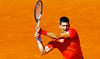 Djokovic eases into record 17th French Open quarterfinal