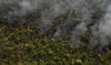 Brazil’s firefighters battle wildfires raging during rare late-winter heat wave