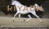 Saudi Arabia to host leg of Global Arabian Horse Tour in Riyadh