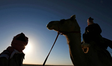 International camel festival encourages Saudis to embrace their heritage