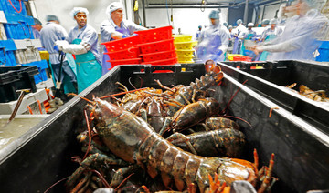 Lobster prices high as catch drops, China imports climb