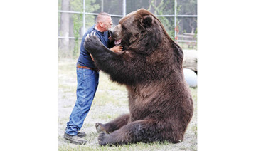 Man grabs attention for hugging big bears